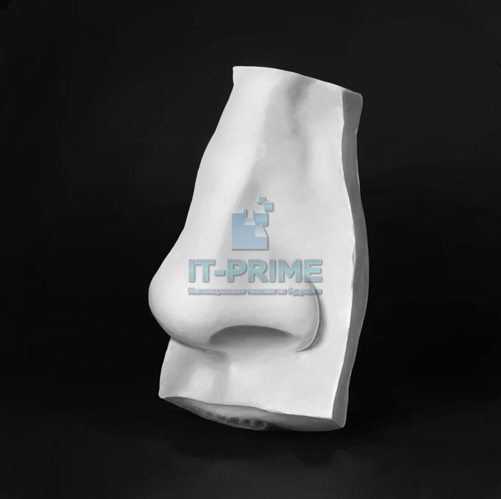 Гипсовая модель "Нос человека"