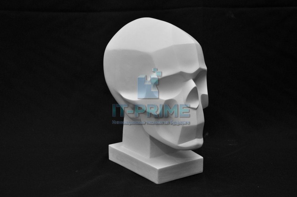 Гипсовая модель "Череп человека" (обрубовка)