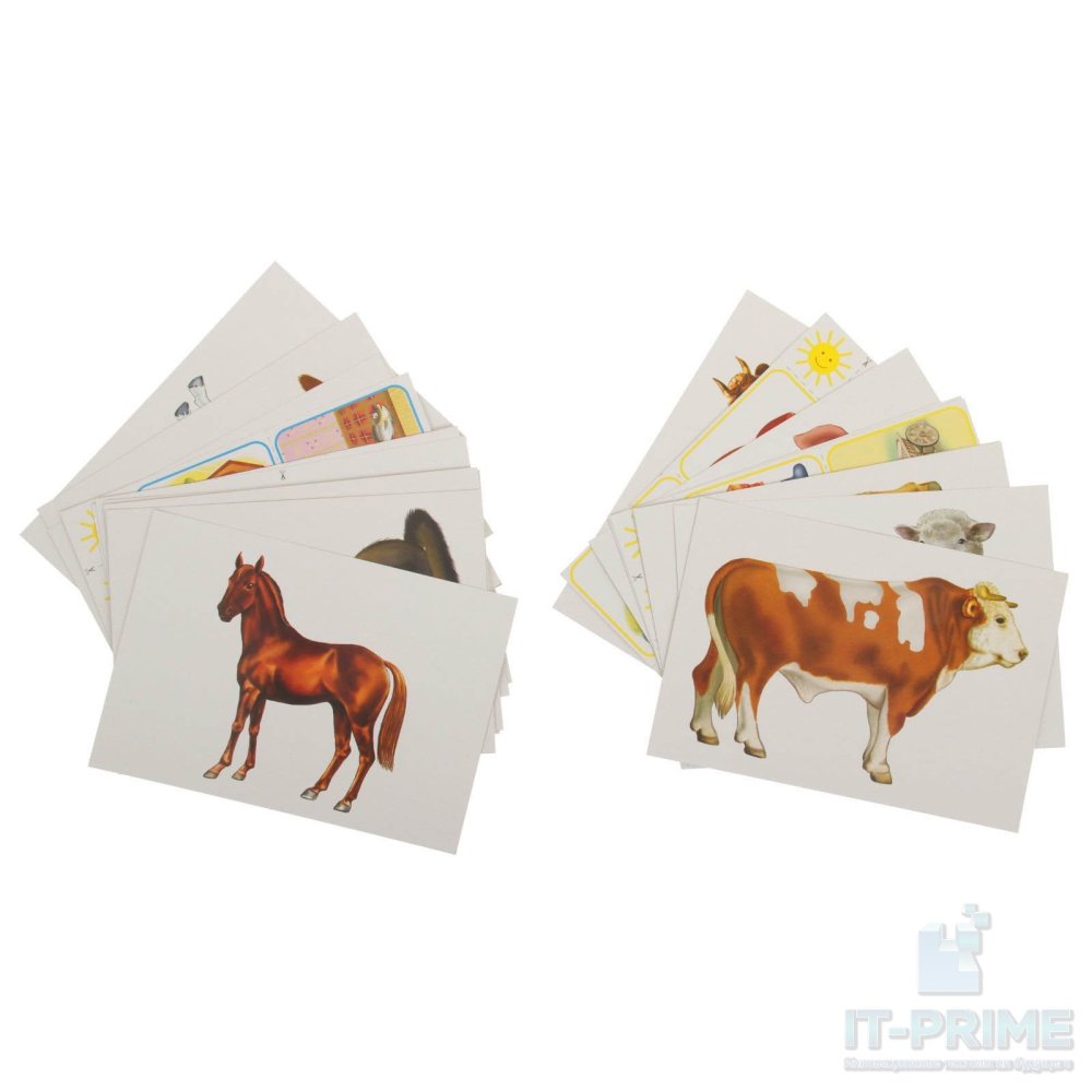 Набор карточек "Домашние животные" (раздаточные)