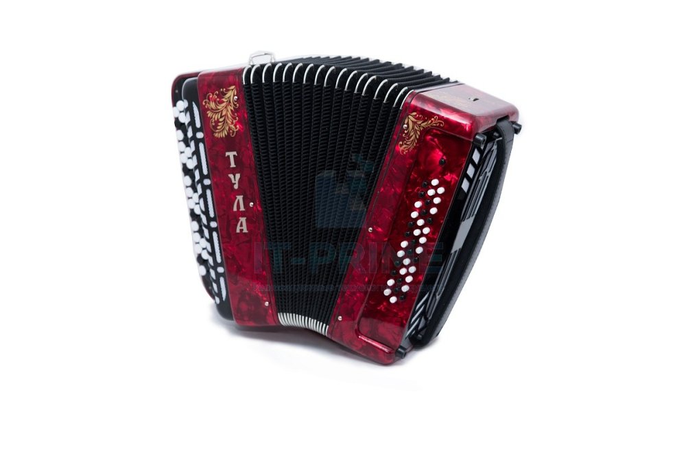 Баян ученический двухголосный Тульская гармонь БН–37 `ТУЛА-209` 92/55х100-II